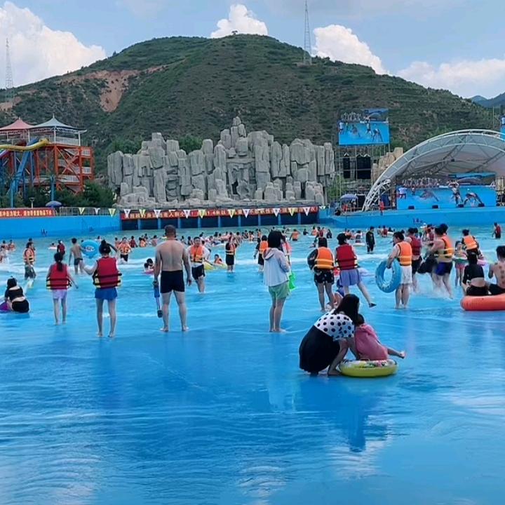 一枝梅