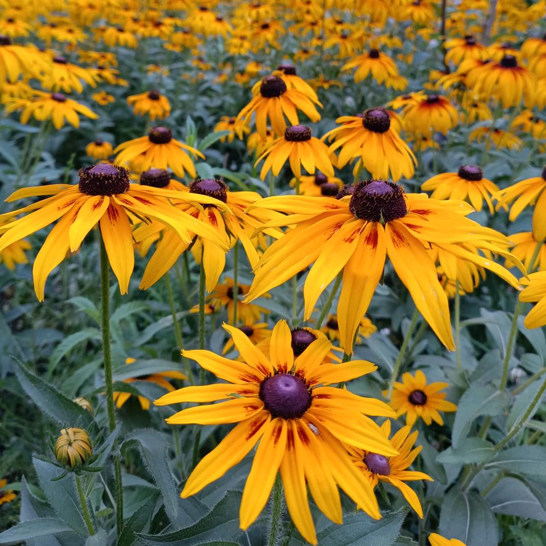 我健康，我快乐