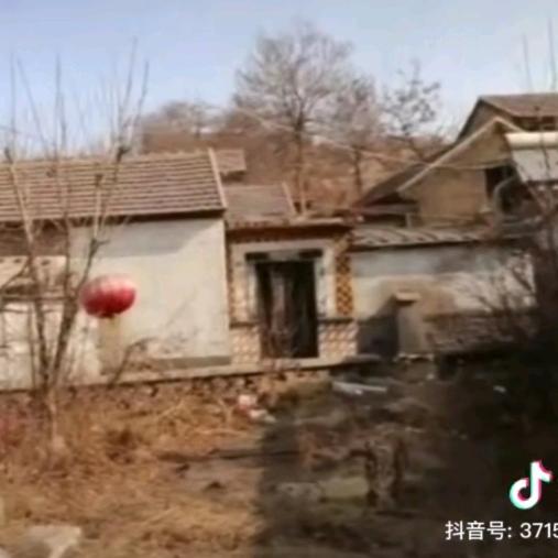 晚风作酒曲中人