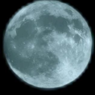 精神小伙麻辣小龙虾🦞