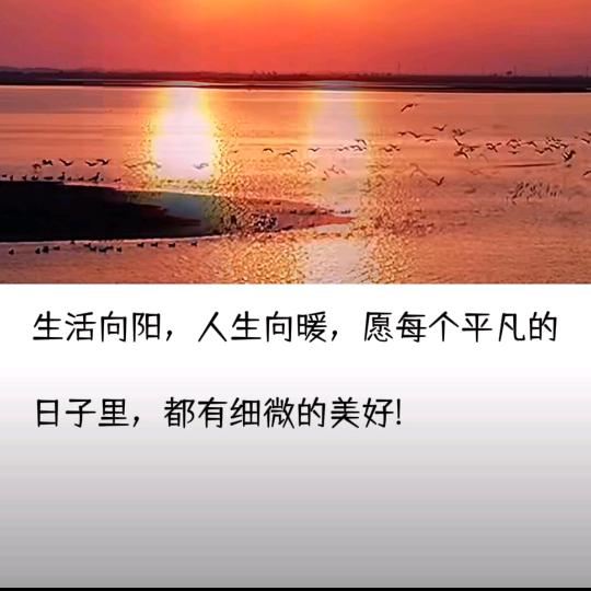 时间煮雨岁月缝花，以欢喜心慢℃