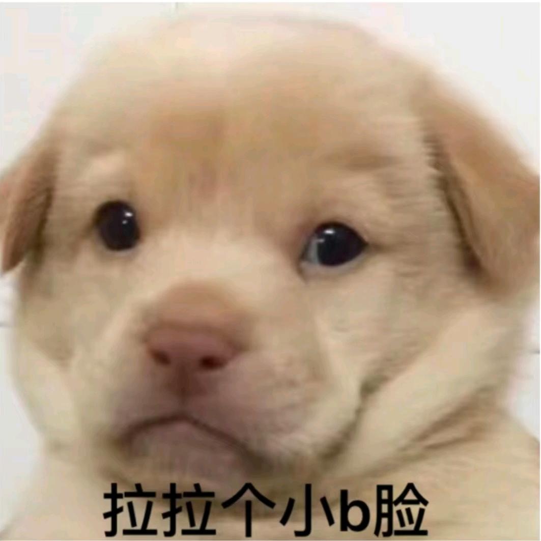 拉拉个小痹脸