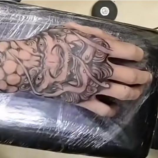 张灬公子