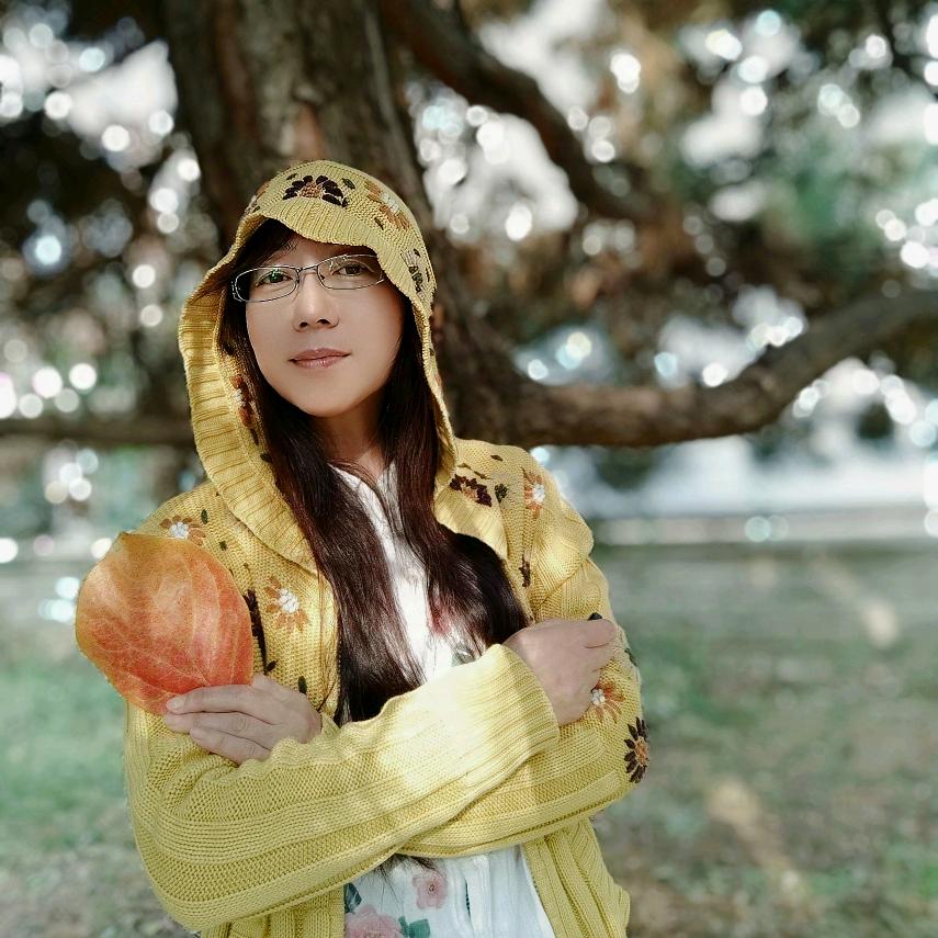 郁金香（手机摄影）