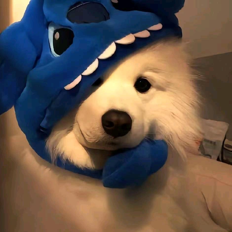 爱❤️