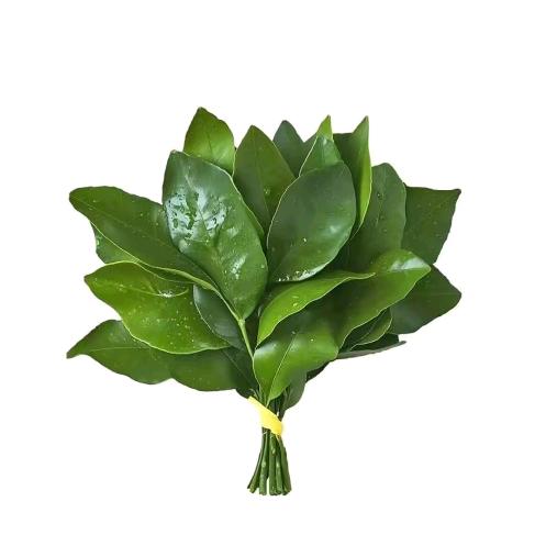 芊羽