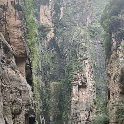 森屿初建筑坊