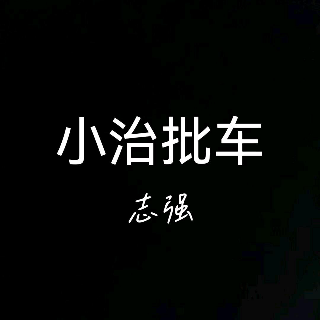 小治批车-志强