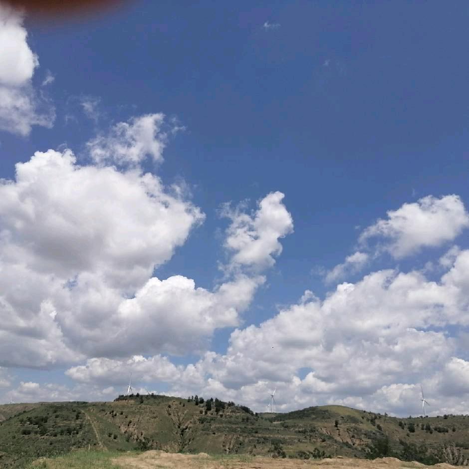 野山
