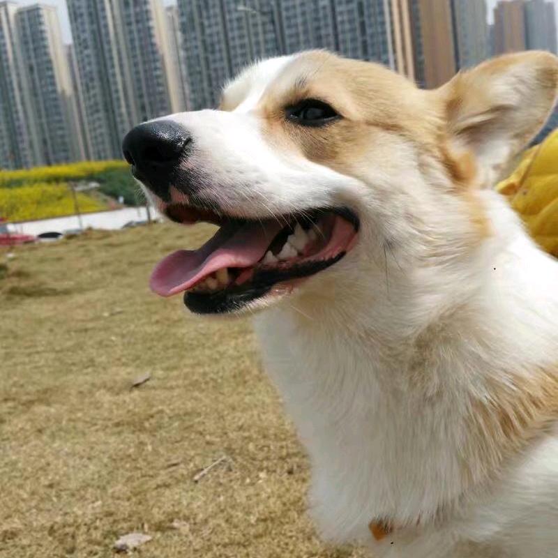 放飞心情