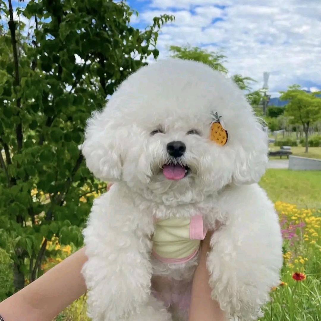 一只小钢镚