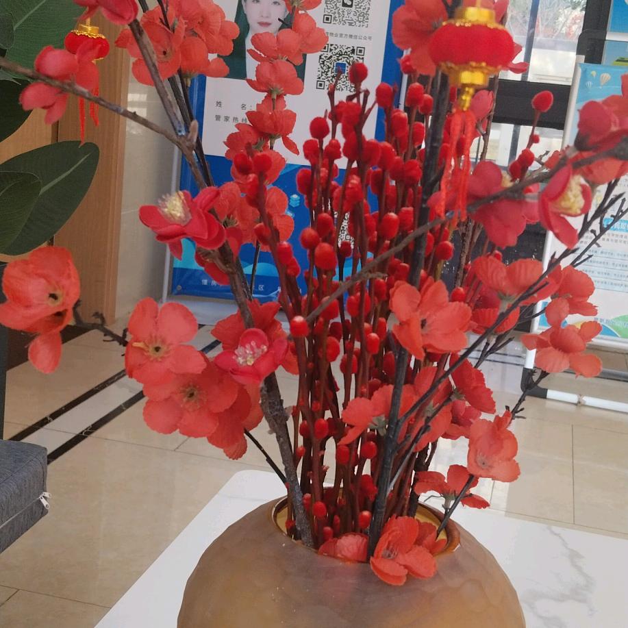 王集体(上午八点直播)