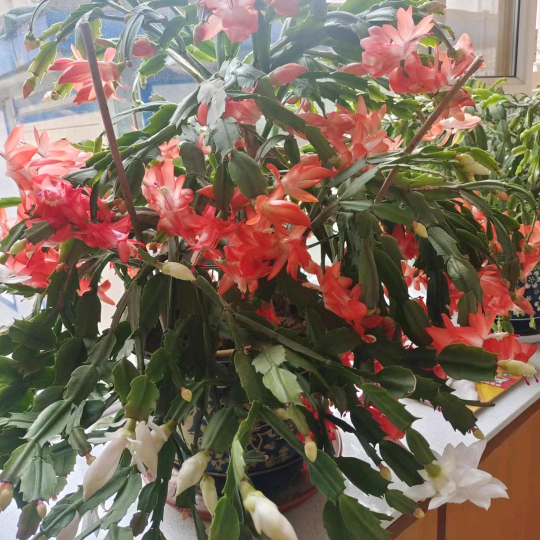 向钱看