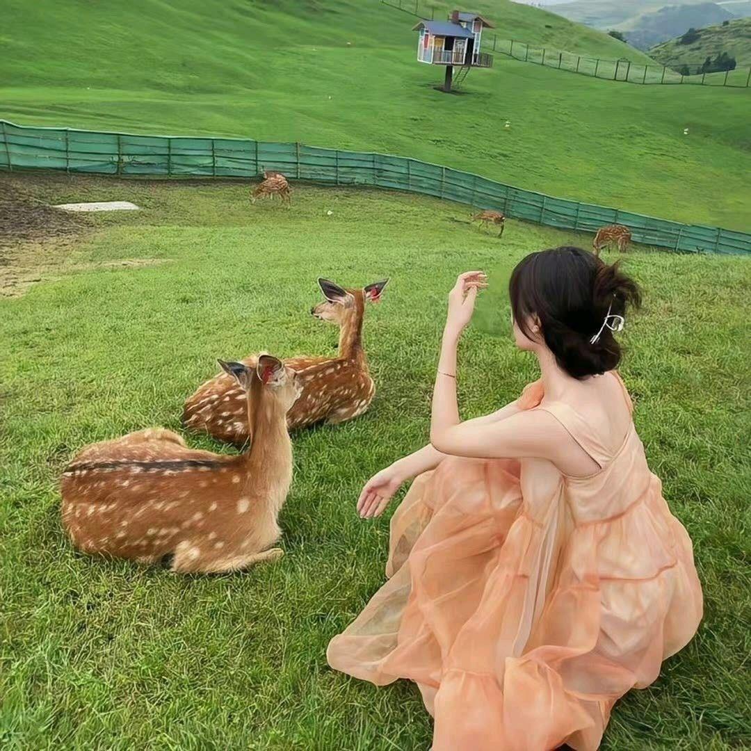 尧小妹