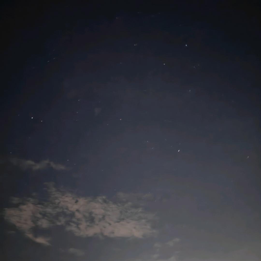 朾  䂲