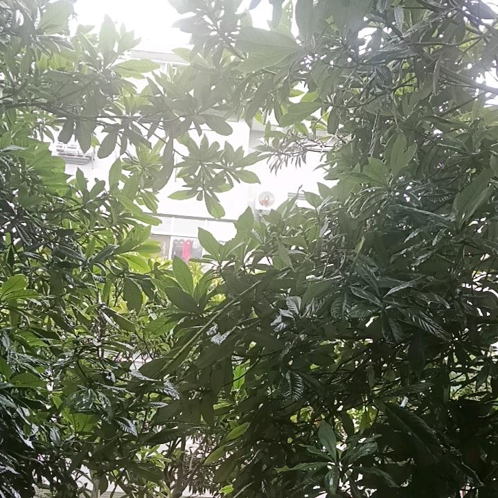 永酒
