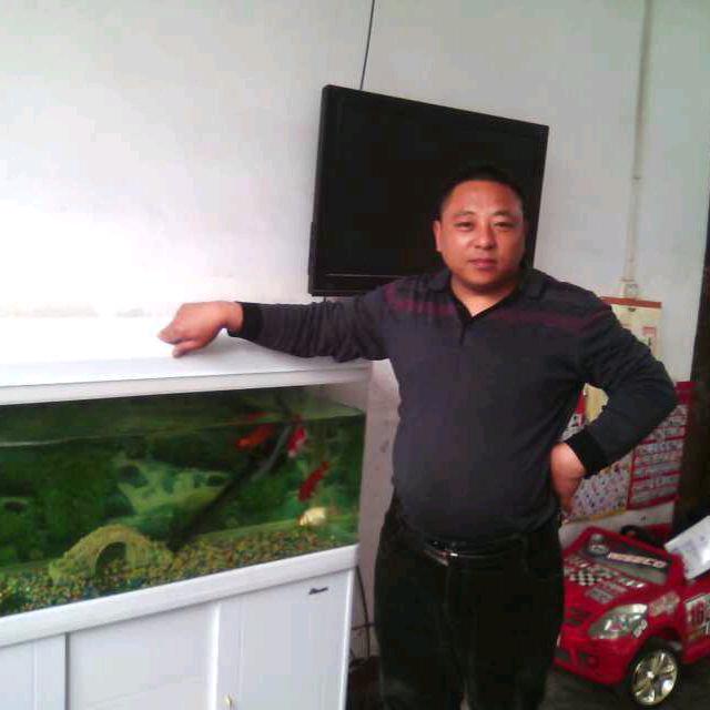 口袋宠物猪-菠萝