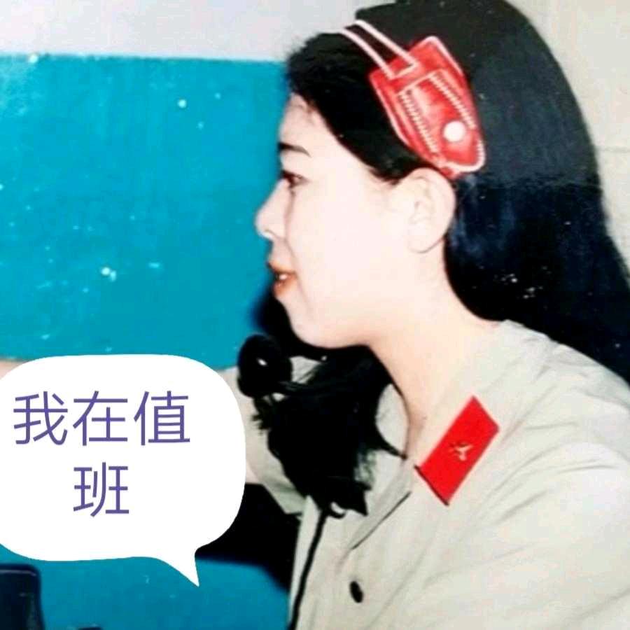傅平山胞妹.芳华