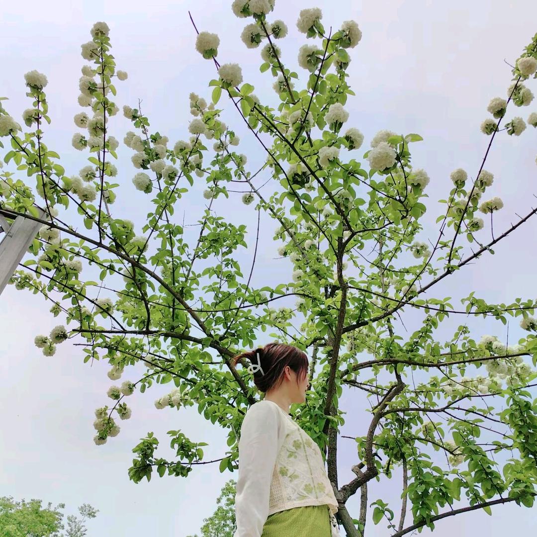 @浅听风否