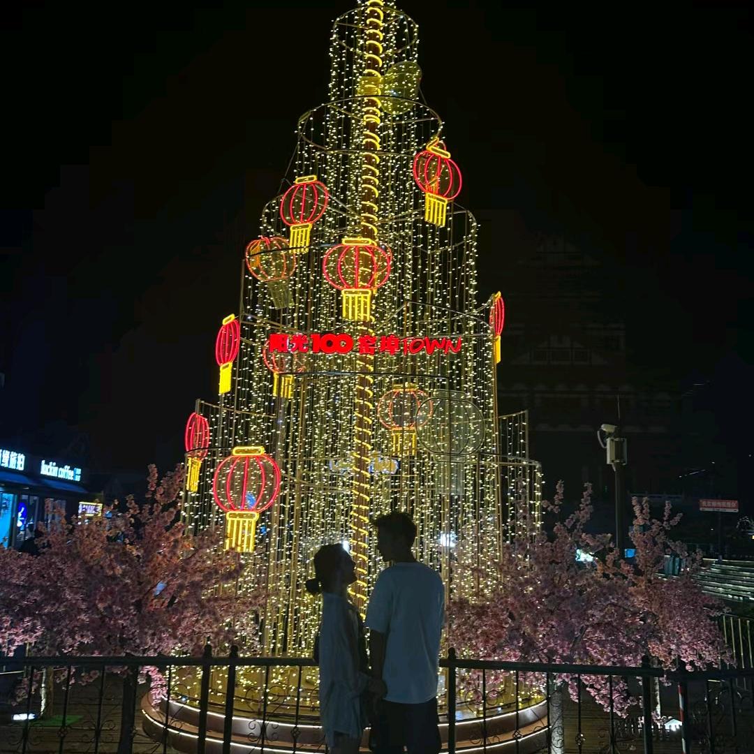 胖胖的梦想在奋斗