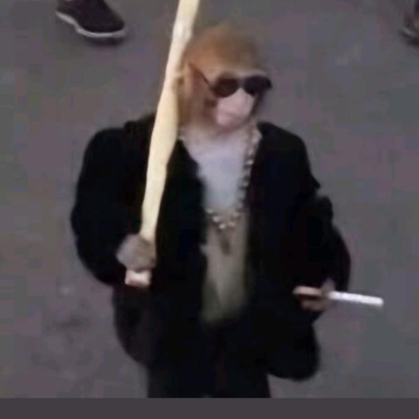 流剑钢铁大耳猴