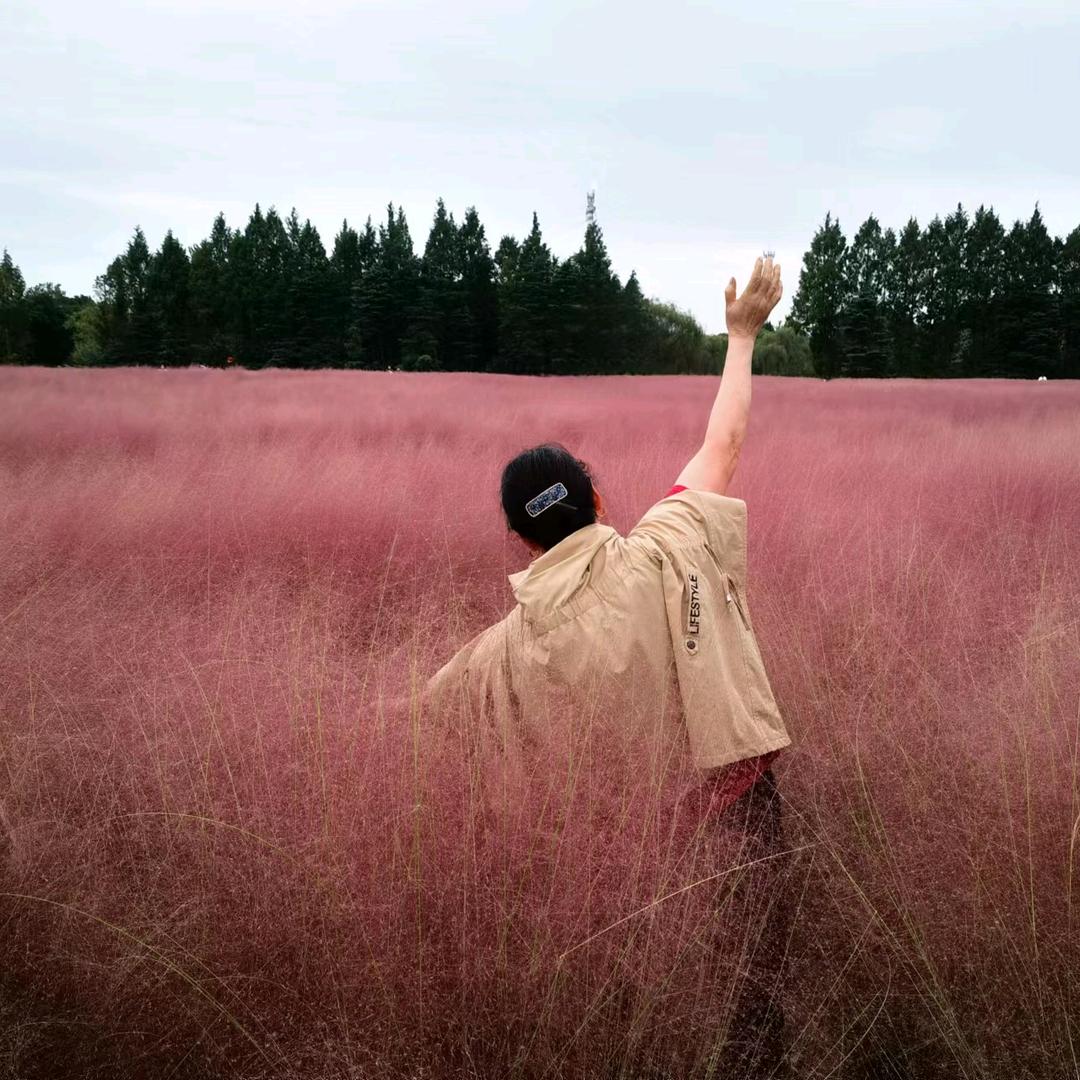 鲁