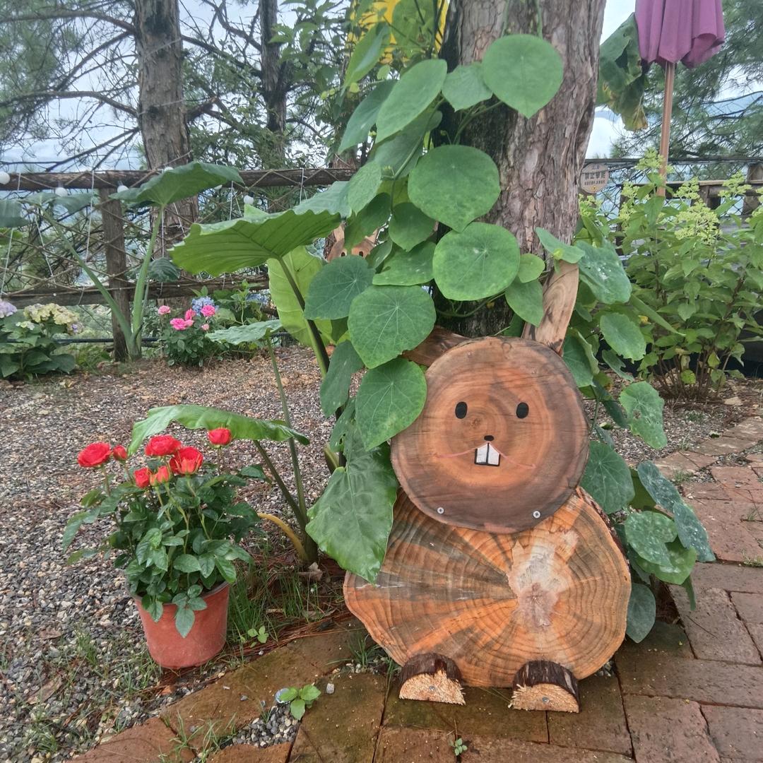 小布