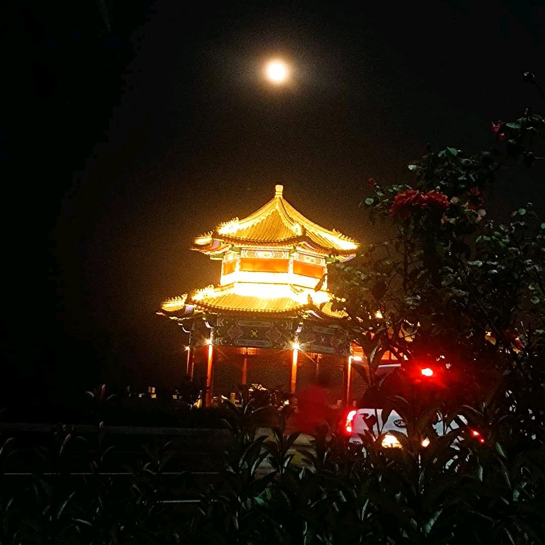 高处不胜韩