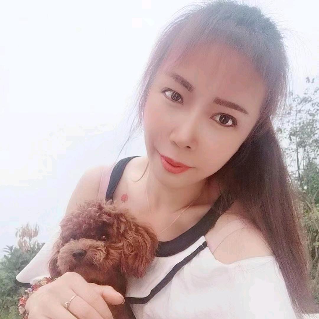 恰似你的温柔