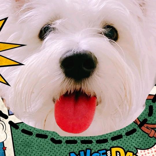 中环五金机电中环五金机电超市