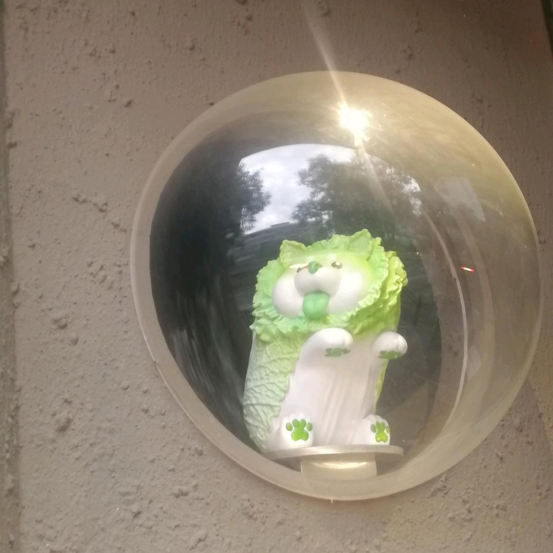 刘海鹏