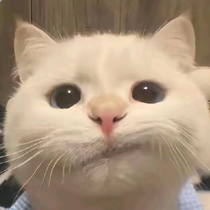 归零.