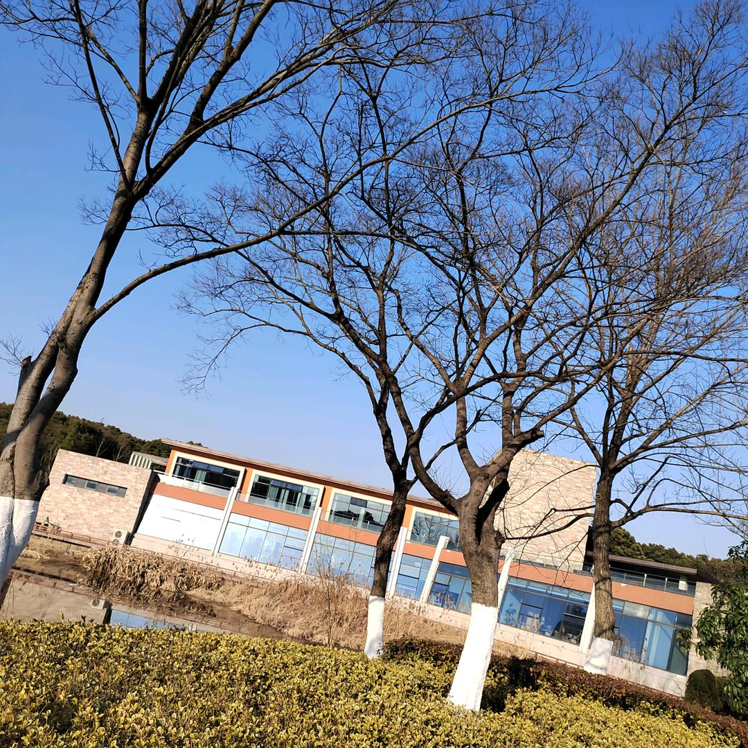 乌漆麻黑