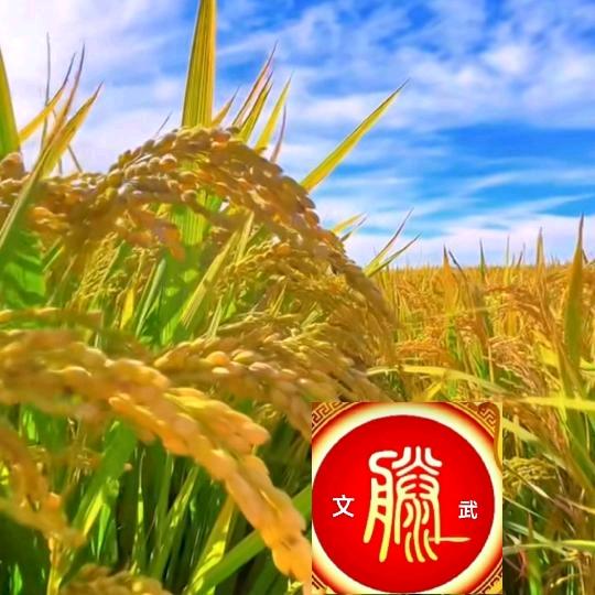 农业植保🌾文武