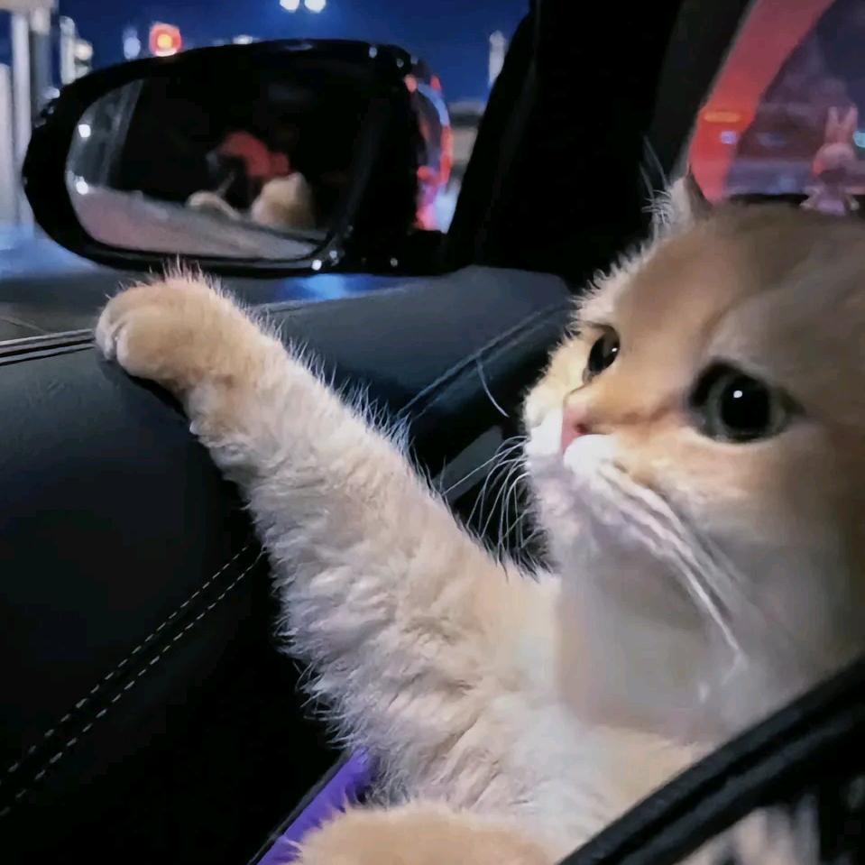 憨憨