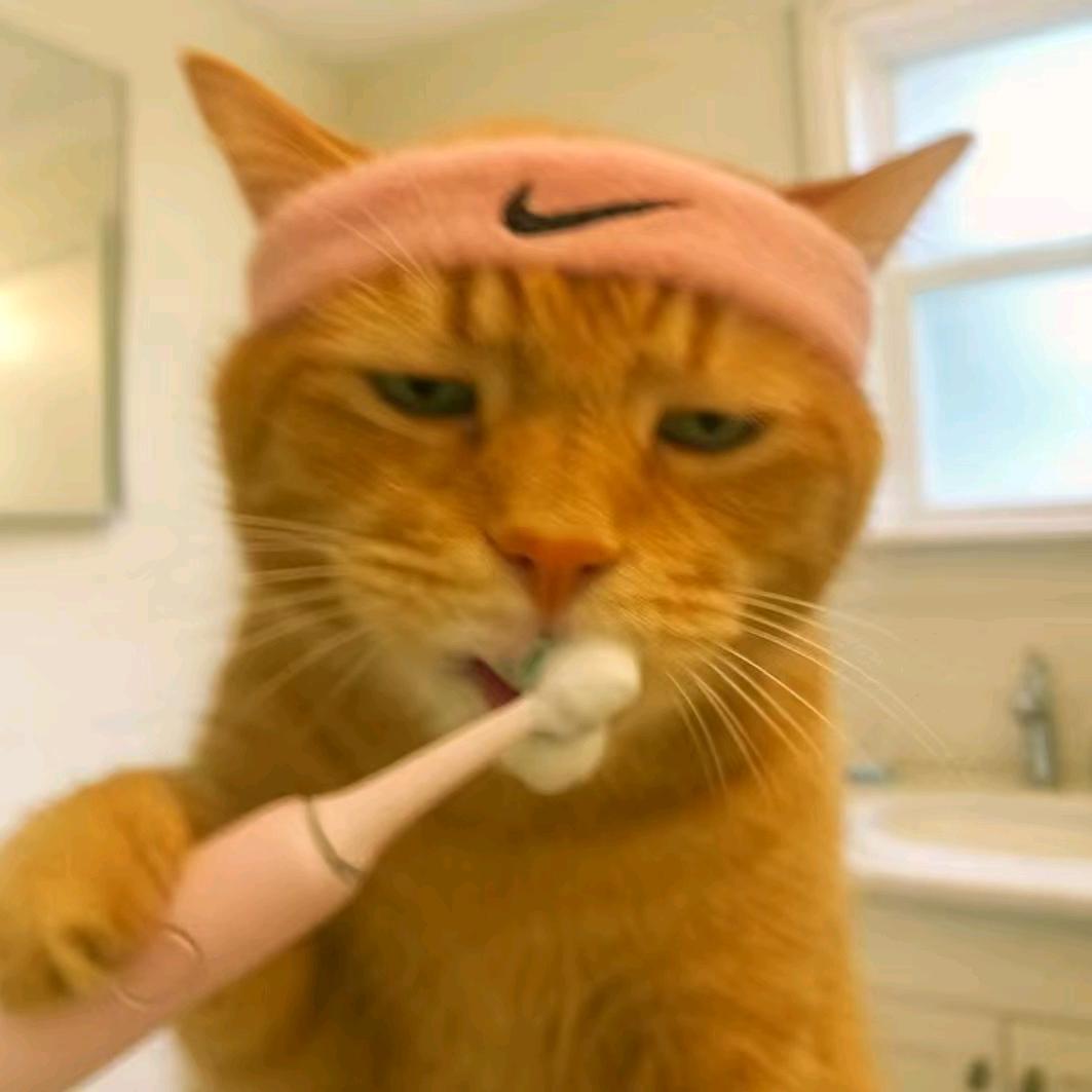 离谱觉得你很离谱（佛系版）