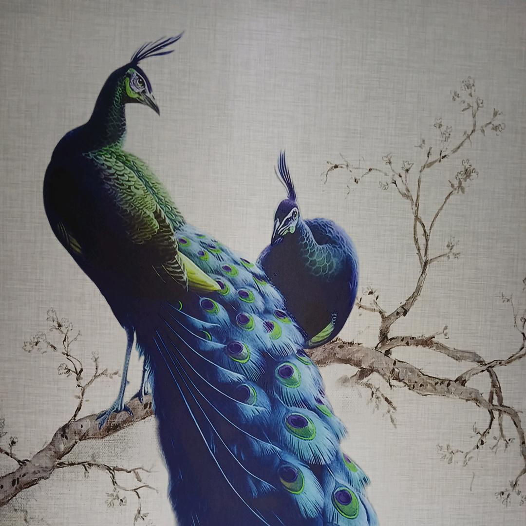 越来越好🐥