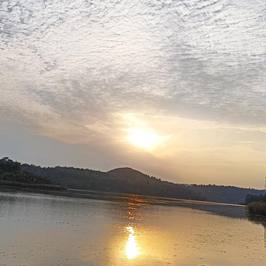 Bitterness and sweet