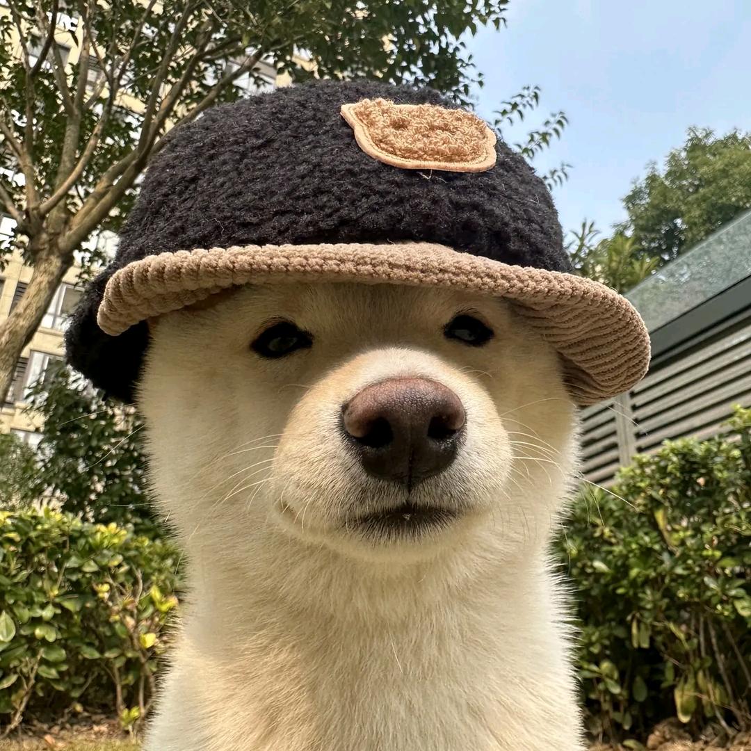 树叶子