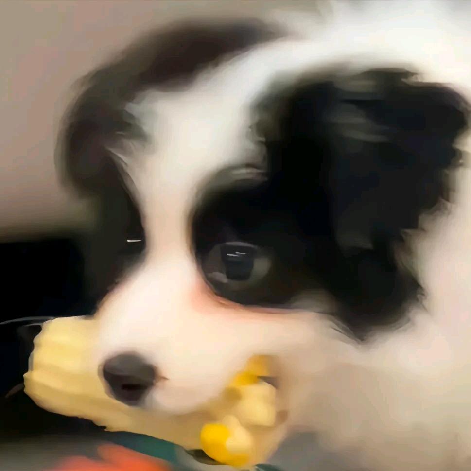 平行修改日记¹²¹²