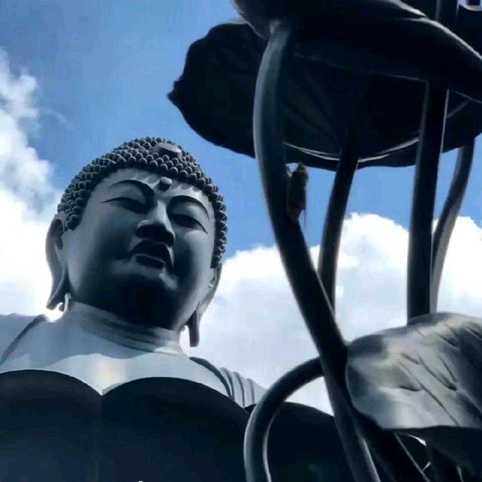 峥嵘岁月