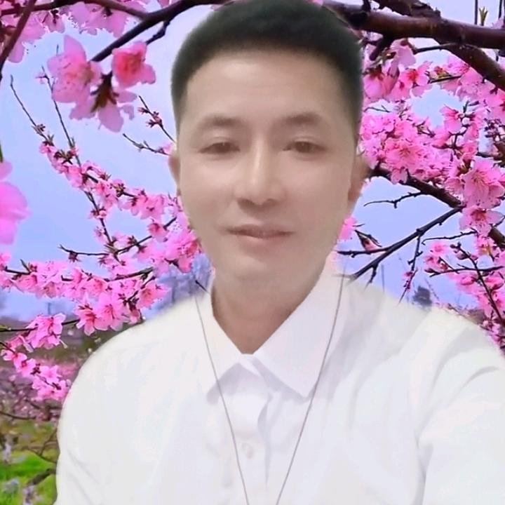 晴空梦中游