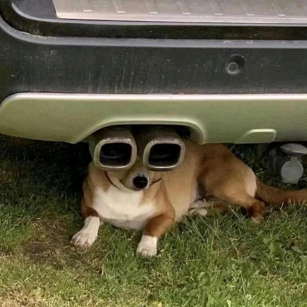 老辈子魔法披风