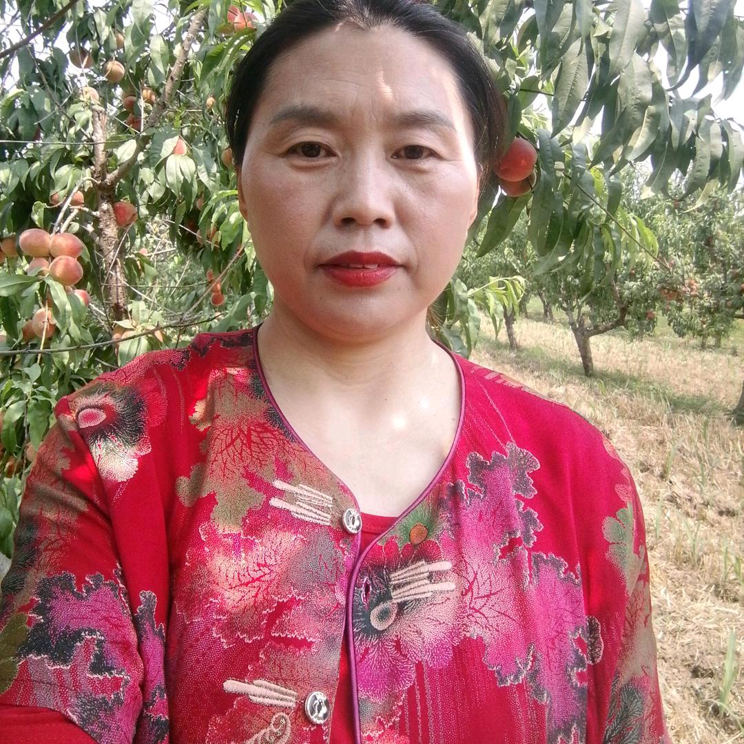 光头黄姐《首播》