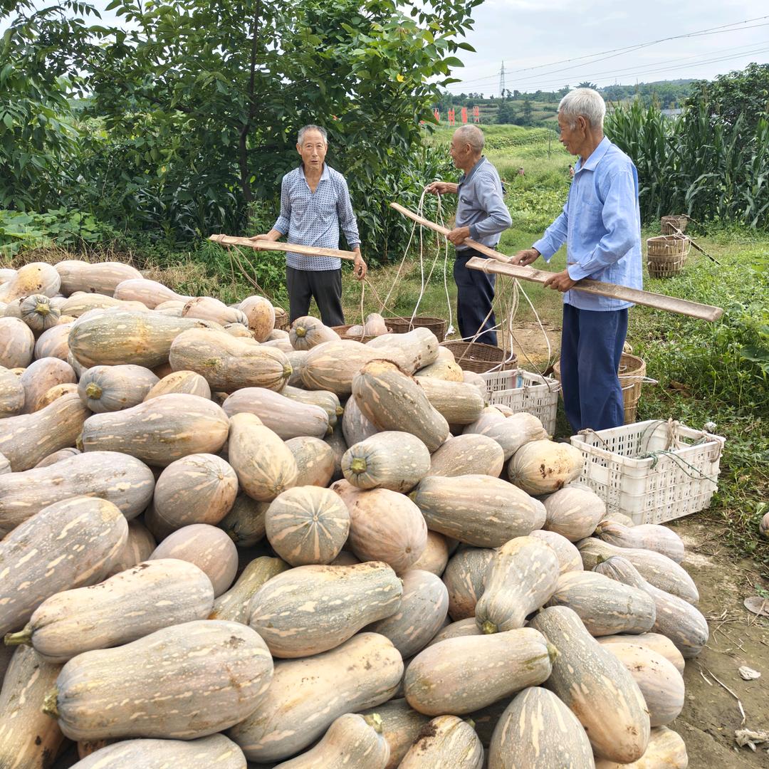 是徐家村的幼幼耶