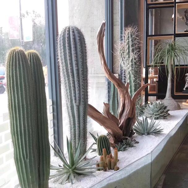 来哥趣致园艺店