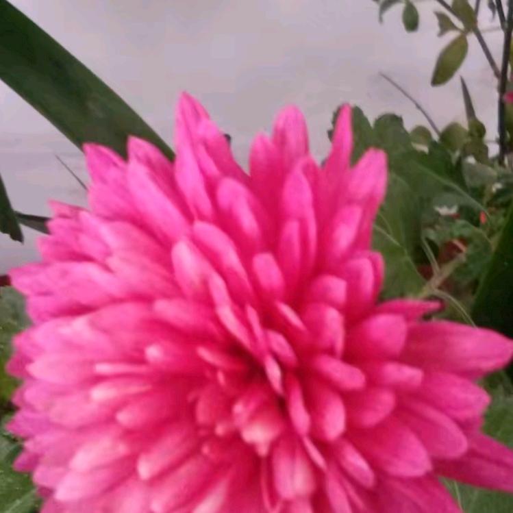 开心快乐每一天