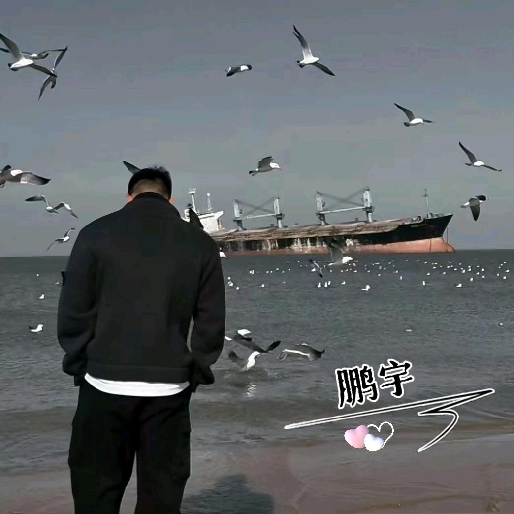 弃匪从政