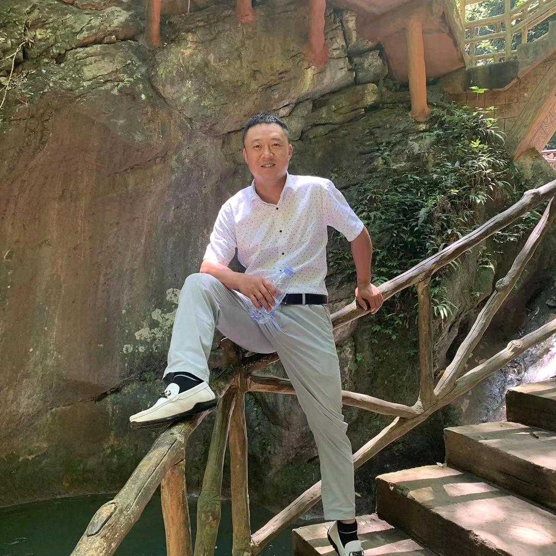 南来北往
