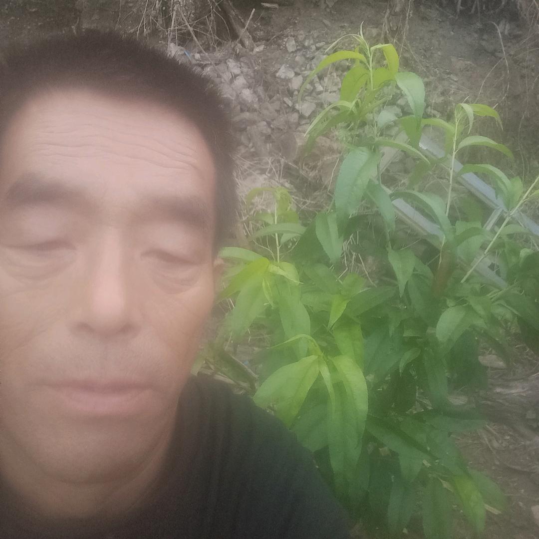 黎明前的曙光
